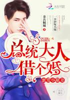 总统大人要劫婚 总统大人要劫婚