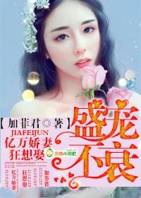 盛宠之亿万老婆免费阅读 盛宠之亿万老婆免费阅读