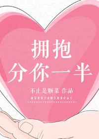 拥抱分你一半讲什么