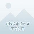 官像 官像